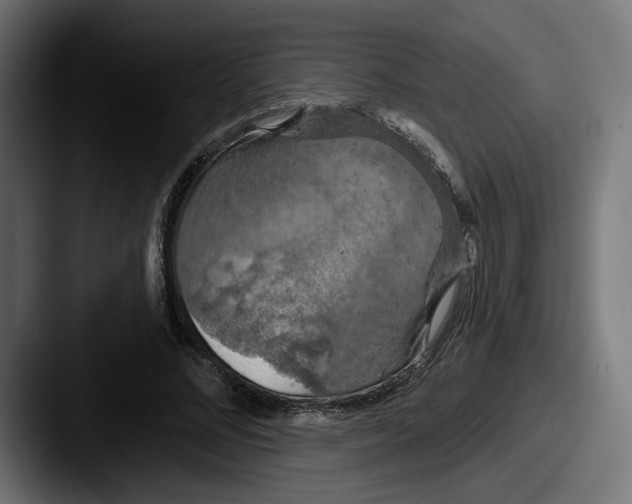 X0000087530684200705181031