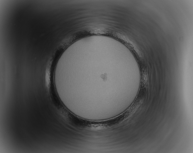 X0000087530686200705181031