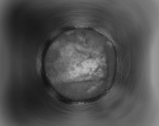 X0000087530687200705181031