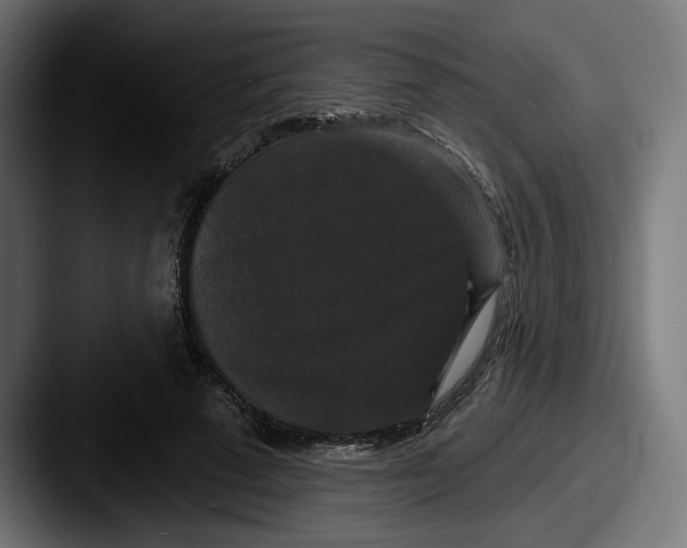 X0000087530689200705181031