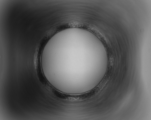 X0000087530690200705181031