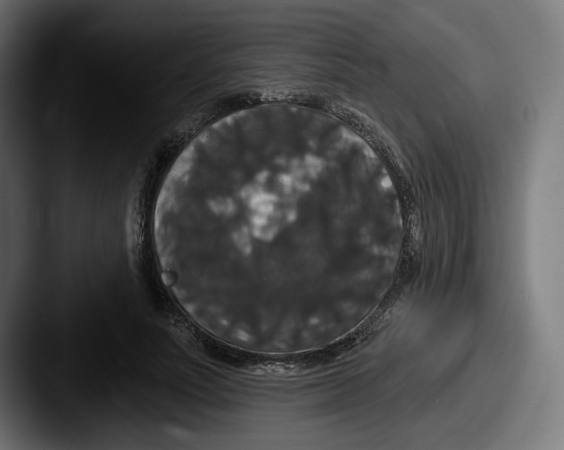 X0000087530691200705181031