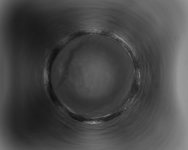 X0000087530692200705181031