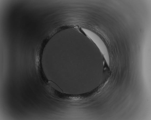 X0000087530693200705181031