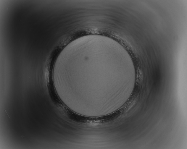X0000087530694200705181031