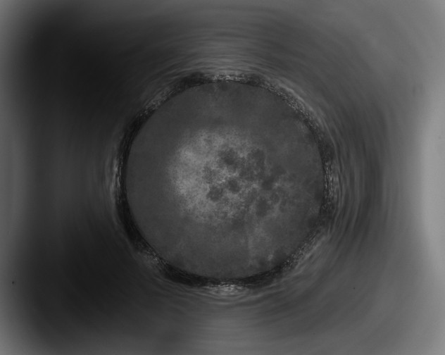 X0000087530695200705181031
