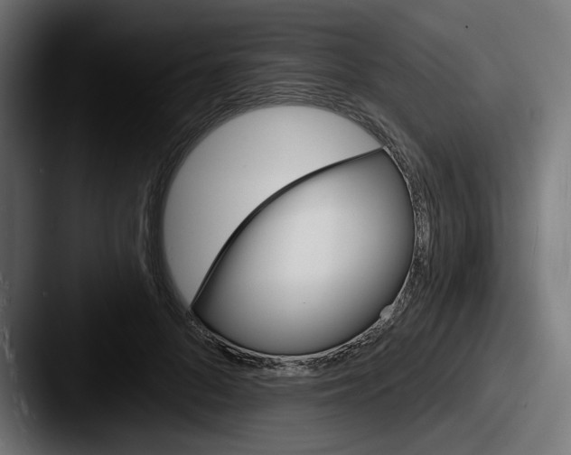 X0000087530696200705181031