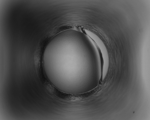 X0000087530697200705181031