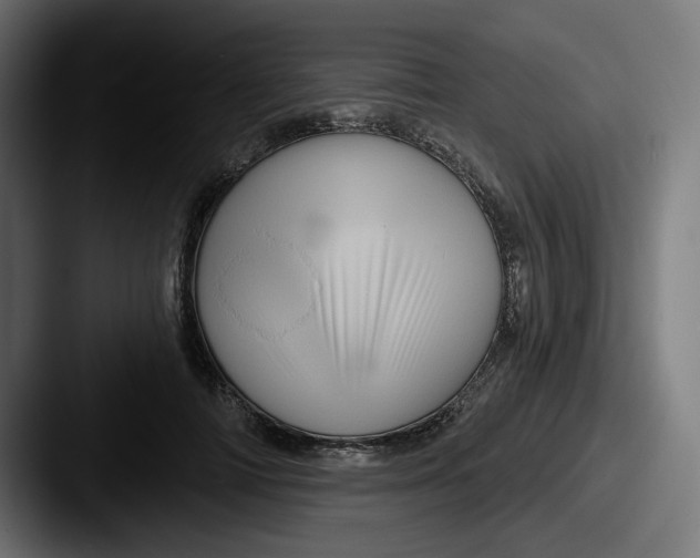 X0000087530698200705181031