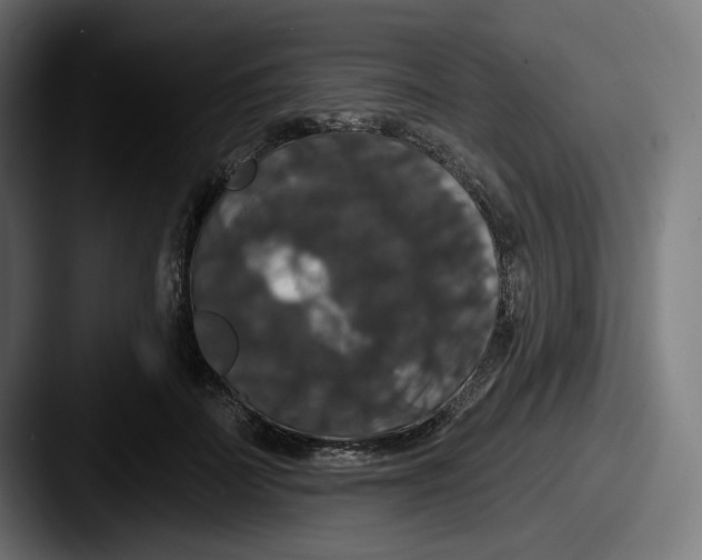 X0000087530699200705181031