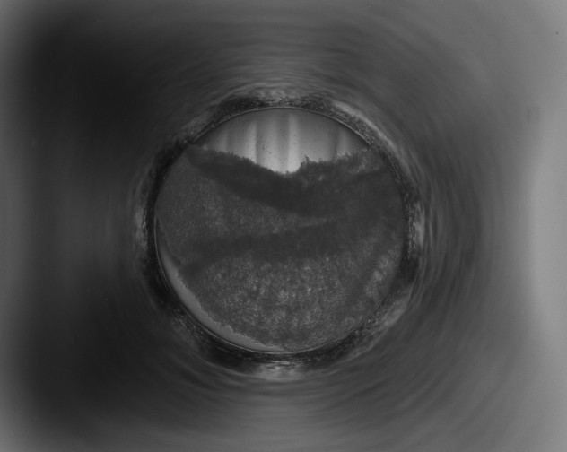 X0000087530700200705181031