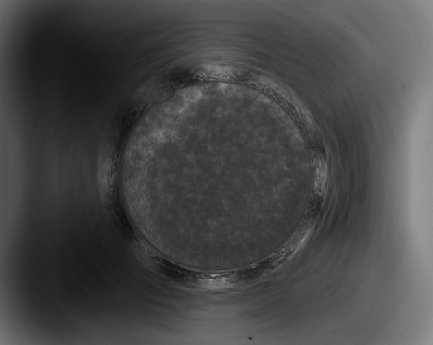 X0000087530701200705181031