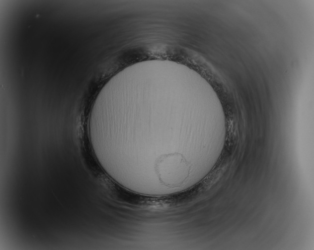 X0000087530702200705181031