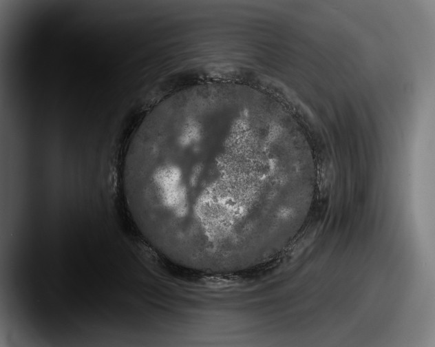 X0000087530703200705181031