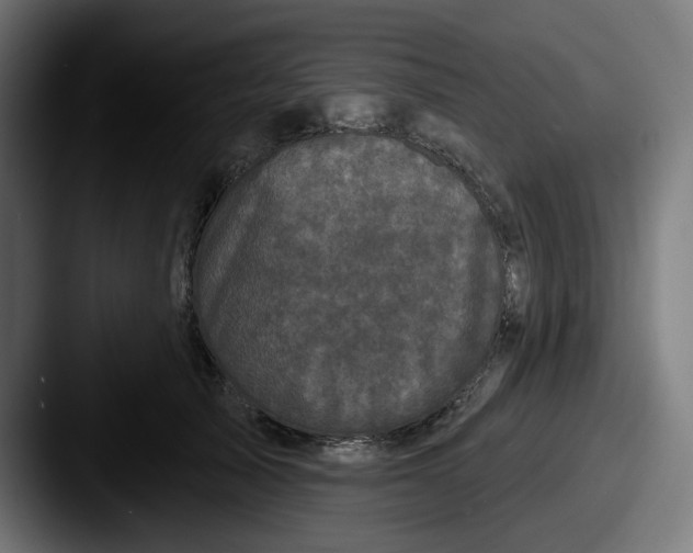 X0000087530705200705181031