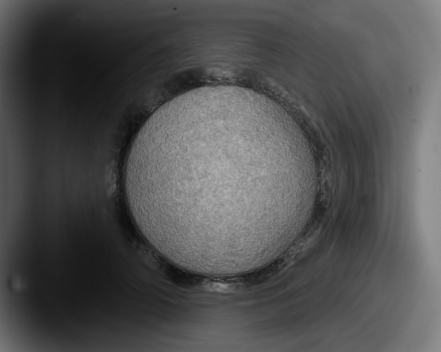 X0000087530706200705181030