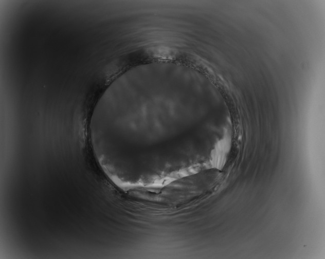 X0000087530707200705181030