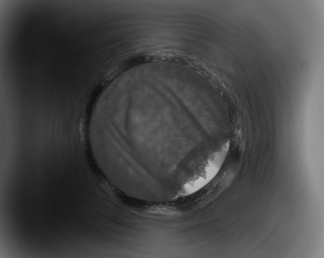 X0000087530708200705181030