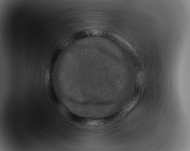 X0000087530709200705181030