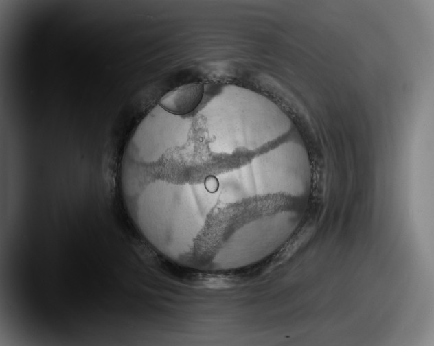 X0000087530710200705181030