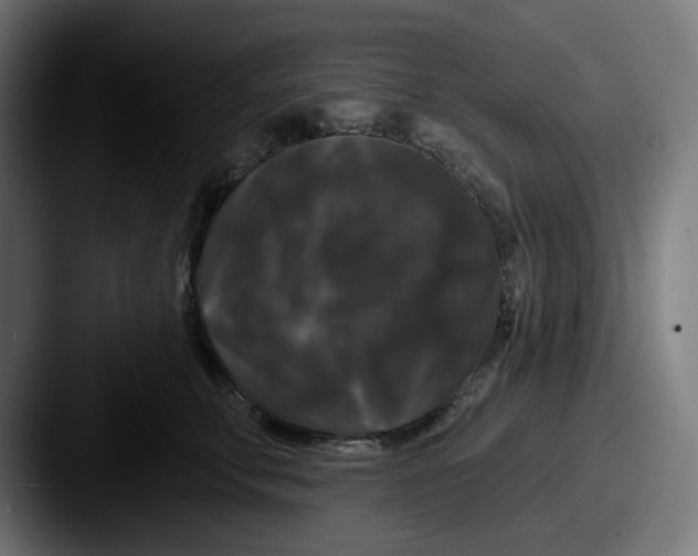 X0000087530711200705181030