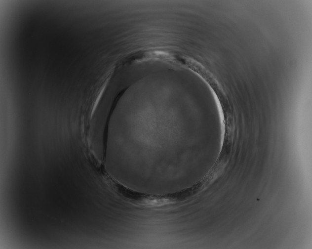 X0000087530712200705181030