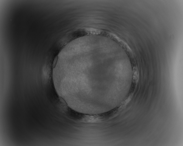 X0000087530713200705181030