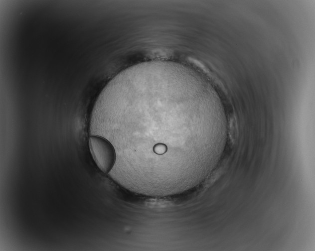 X0000087530714200705181030