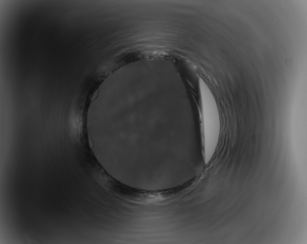 X0000087530715200705181030