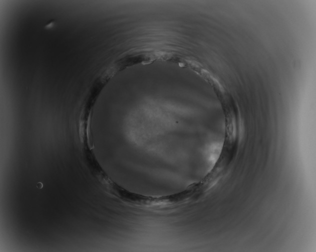 X0000087530716200705181030