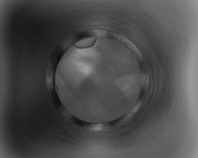 X0000087530717200705181030