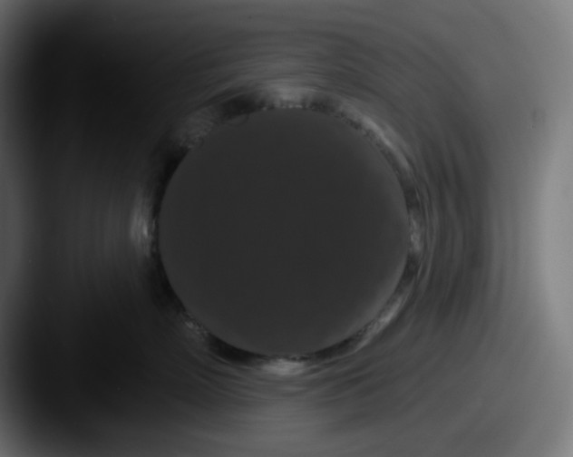 X0000087530718200705181030