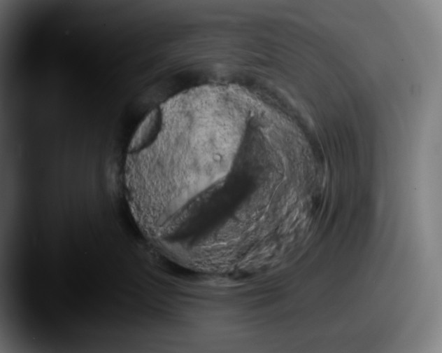 X0000087530719200705181030