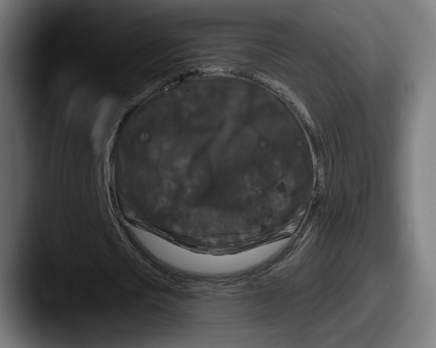 X0000087530721200705181030