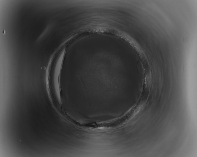 X0000087530722200705181030