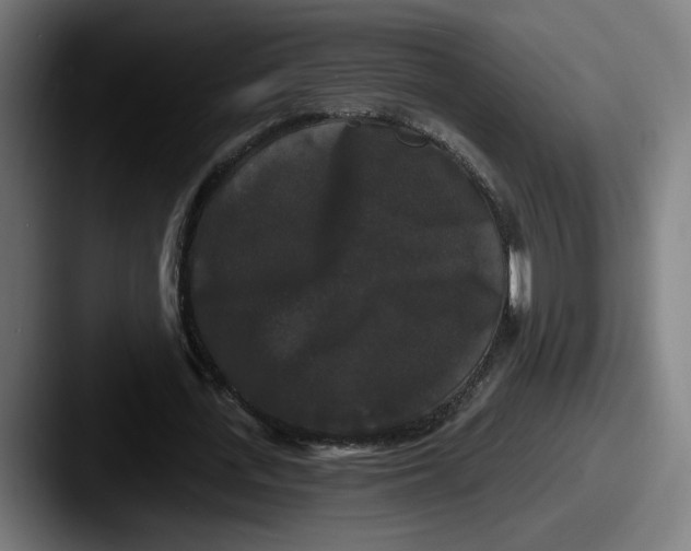 X0000087530723200705181030