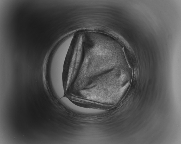 X0000087530724200705181030