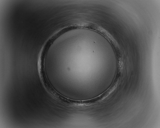 X0000087530726200705181030