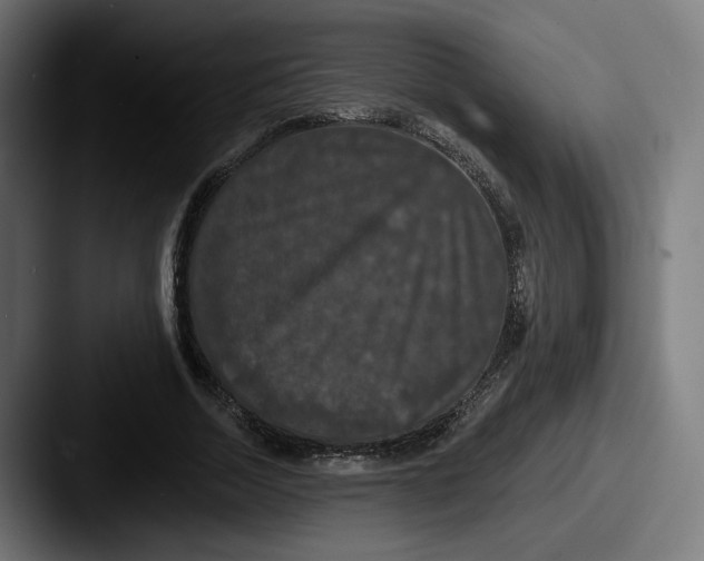 X0000087530730200705181030