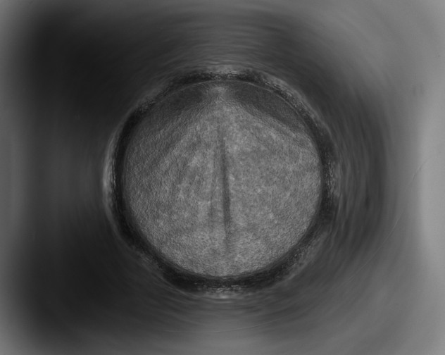 X0000087530731200705181030