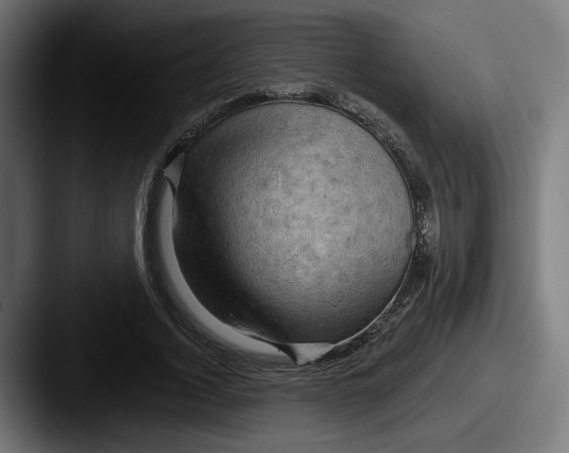 X0000087530732200705181030