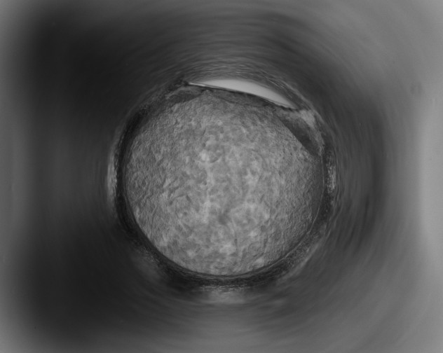 X0000087530733200705181030