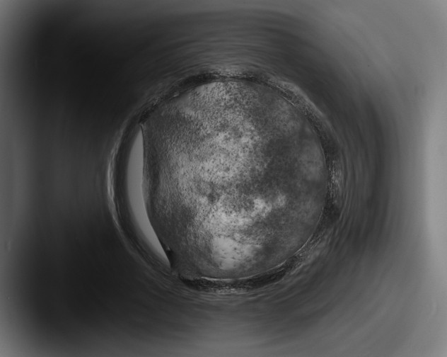 X0000087530734200705181030