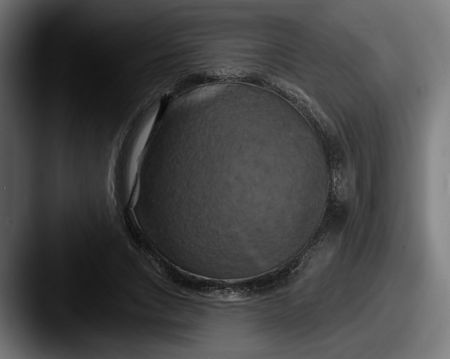 X0000087530735200705181030