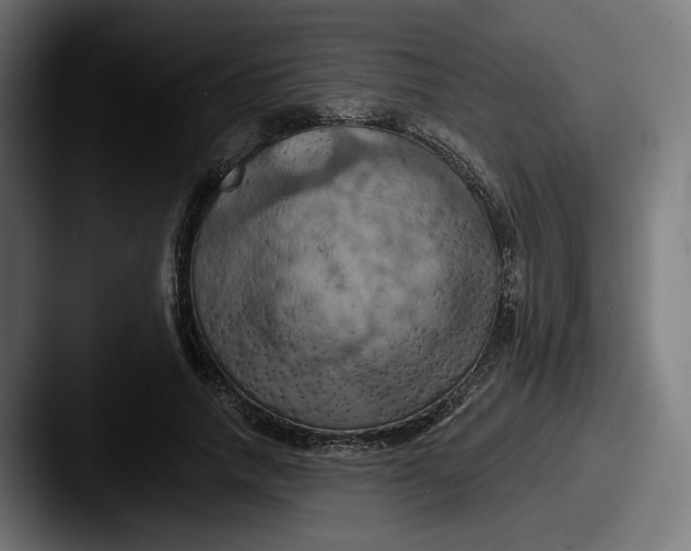 X0000087530738200705181030