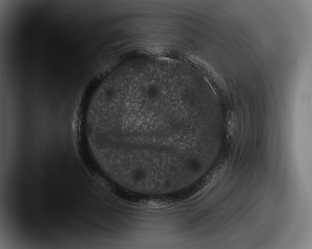 X0000087530739200705181030