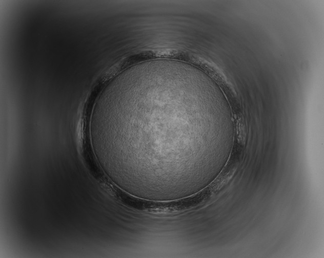 X0000087530740200705181030