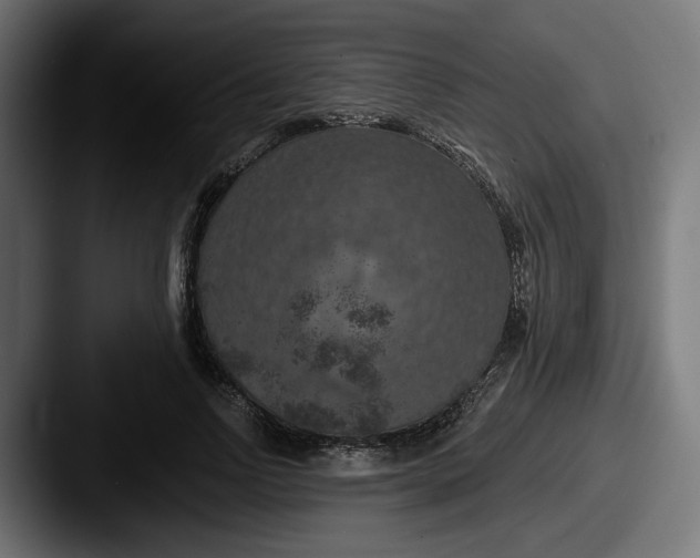 X0000087530742200705181030