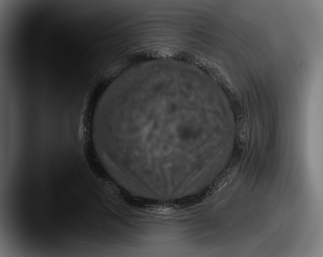 X0000087530743200705181030