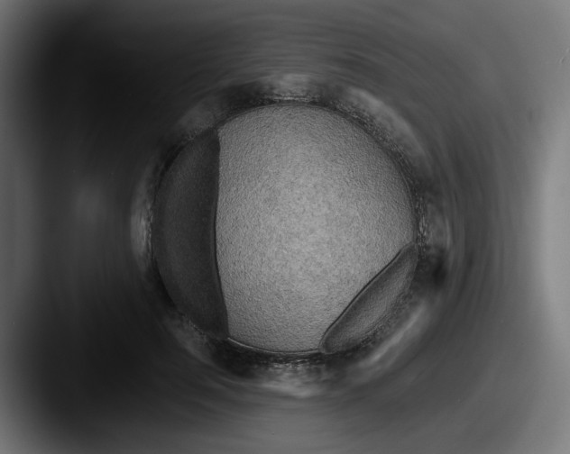 X0000087530744200705181030